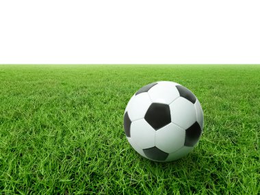 Çim sahası gençlik akademisi antrenmanı, futbol sporu ve egzersiz konsepti üzerine futbol topu