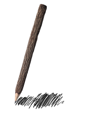 Dal kalem, şeffaf arkaplan