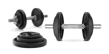 siyah dambıl, şeffaf arkaplan