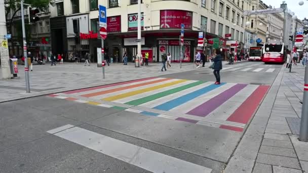 Wien Österreich August 2022 Zeitlupenaufnahmen Vom Regenbogen Crosswalk Die Menschen — Stockvideo