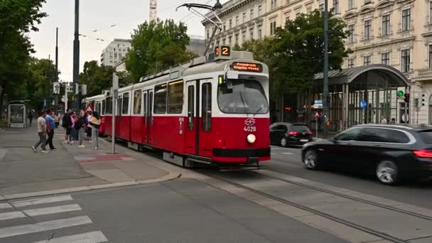 Vienne Autriche Août 2022 Belles Images Ralenti Avec Passage Des — Video