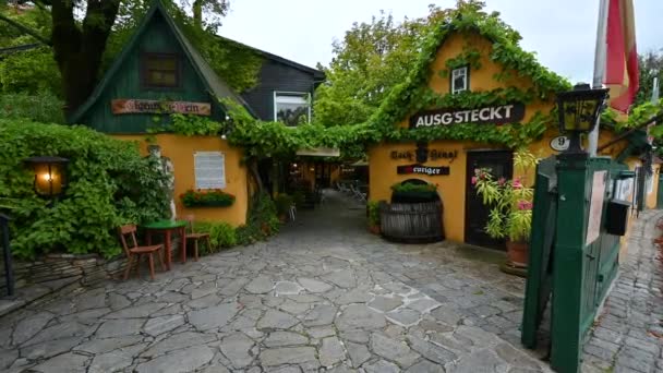 ウィーン オーストリア 2022年8月 グラインジング村は ウィーンで有名な丘の上のワイン生産村です 地元の食べ物やワインとレストランやトラットリア — ストック動画