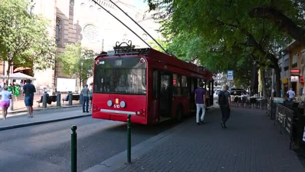 Budapest Hungary August 2022 Slow Motion Footage Distinctive Red Trolleybus — Stok video