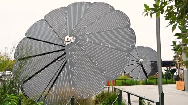 Yeni Bir Konsept Güneş Paneli Olan Görüntüler Silikon Yapraklar Güneşi — Stok video