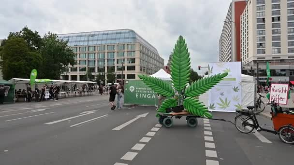 베를린 2022년 10일 대마초의 합법화에 찬성하는 시연의 식물을 상징하는 — 비디오