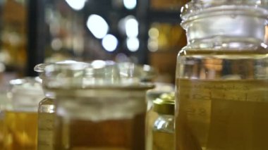 Berlin, Almanya, 10 Ağustos 2023. Doğal bilimler müzesinde sayısız canlı türünün koruyucu sıvıyla cam kavanozlarda korunduğu sergileniyor. Gizemli sinematik atmosfer.