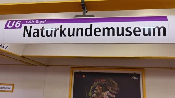 Berlin Deutschland August 2023 Der Bahn Station Naturkundemuseum Halten Sie — Stockvideo