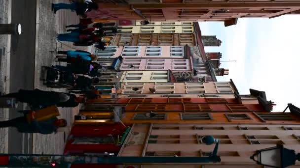 Lyon France December 2023 Fascinating Vertical Footage View Most Iconic — Stock Video