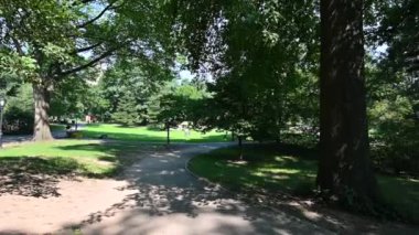 New York, ABD, 14 Ağustos 2024. Central Park 'taki bir yolda POV görüntülerine bağlanıyoruz: parkı geziyoruz ve etrafımızdaki diğer insanları doğanın sessizliğinin tadını çıkarırken görüyoruz..