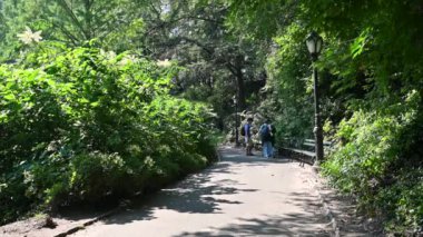 New York, ABD, 14 Ağustos 2024. Central Park 'ta banklar ve sokak lambalarıyla büyüleyici bir ara: orta yaşlı bir kadın ve iki genç beyaz adam mola verip oturuyorlar. Güzel bir yaz günü.