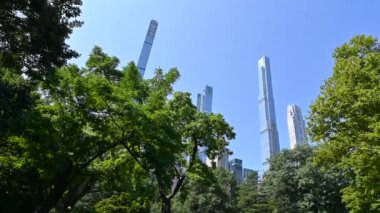 New York, ABD, 14 Ağustos 2024. Central Park 'taki ağaçların çerçevelediği gökdelenlerin çarpıcı görüntüleri. Dönüyor, güzel yaz günü.