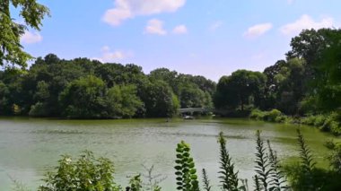 New York, ABD, 14 Ağustos 2024. Central Park 'ın göl kenarındaki teknelerinin ikonik görüntüleri. Güzel bir yaz günü. Açık hava yaşam tarzı doğayla iç içe..