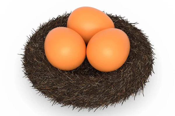 Granja Cruda Huevos Marrones Orgánicos Nido Aves Aislado Sobre Fondo —  Fotos de Stock