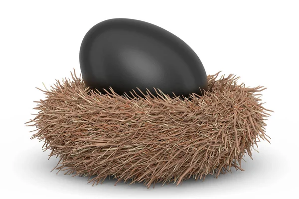 Huevo Negro Granja Nido Aves Aislado Sobre Fondo Blanco Renderizado —  Fotos de Stock