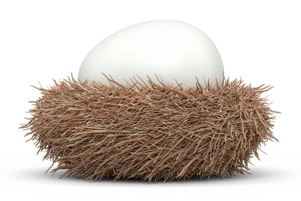 Bauernhof Rohe Bio Eier Mit Weißem Zucker Überzogen Vogelnest Isoliert — Stockfoto