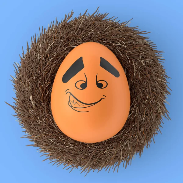 Farm Brown Painted Egg Expressions Funny Face Bird Nest Isolated — Stock Photo, Image