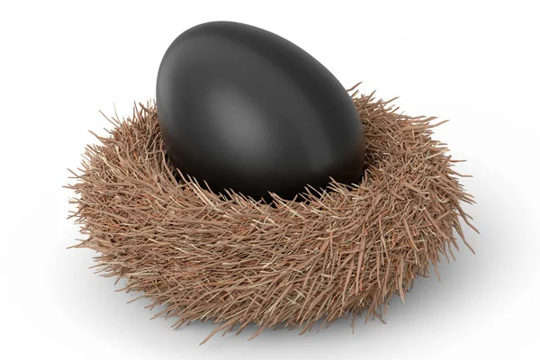 Huevo Negro Granja Nido Aves Aislado Sobre Fondo Blanco Renderizado —  Fotos de Stock