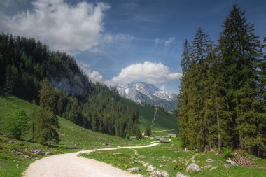 Berchtesgaden Ulusal Parkı, Yukarı Bavyera Alpleri, Almanya ve Avrupa 'daki Jenner Dağı yakınlarındaki dağ vadisinin güzel manzarası. Doğa konseptinin güzelliği.