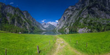 Berchtesgaden Ulusal Parkı, Yukarı Bavyera Alpleri, Almanya ve Avrupa 'daki Obersee Gölü yakınlarındaki dağ vadisinin güzel manzarası. Doğa konseptinin güzelliği.