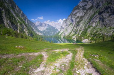 Berchtesgaden Ulusal Parkı, Yukarı Bavyera Alpleri, Almanya ve Avrupa 'daki Obersee Gölü yakınlarındaki dağ vadisinin güzel manzarası. Doğa konseptinin güzelliği.