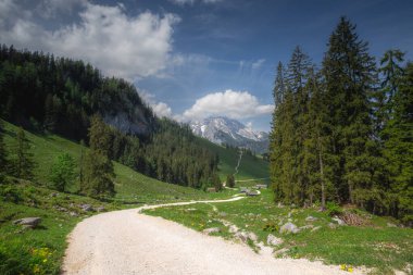 Berchtesgaden Ulusal Parkı, Yukarı Bavyera Alpleri, Almanya ve Avrupa 'daki Jenner Dağı yakınlarındaki dağ vadisinin güzel manzarası. Doğa konseptinin güzelliği.