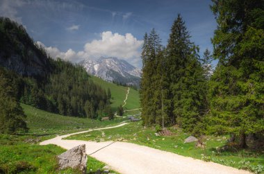 Berchtesgaden Ulusal Parkı, Yukarı Bavyera Alpleri, Almanya ve Avrupa 'daki Jenner Dağı yakınlarındaki dağ vadisinin güzel manzarası. Doğa konseptinin güzelliği.