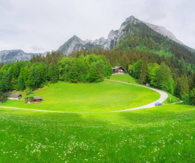 Berchtesgaden Ulusal Parkı, Yukarı Bavyera Alpleri, Almanya ve Avrupa 'daki Jenner Dağı yakınlarındaki güzel çayır manzarası. Doğa konseptinin güzelliği.