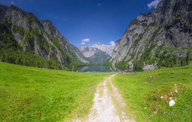 Berchtesgaden Ulusal Parkı, Yukarı Bavyera Alpleri, Almanya ve Avrupa 'daki Obersee Gölü yakınlarındaki dağ vadisinin güzel manzarası. Doğa konseptinin güzelliği.