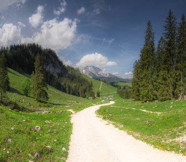 Berchtesgaden Ulusal Parkı, Yukarı Bavyera Alpleri, Almanya ve Avrupa 'daki Jenner Dağı yakınlarındaki dağ vadisinin güzel manzarası. Doğa konseptinin güzelliği.