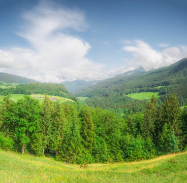 Çayır Jenner yakınındaki güzel manzarasına mount Berchtesgaden Milli Parkı, üst Bavyera Alpleri, Almanya, Avrupa. Gökyüzü kırpma yolu