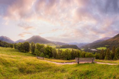 Berchtesgaden Ulusal Parkı, Yukarı Bavyera Alpleri, Almanya, Avrupa 'da gün batımında Hintersee Gölü yakınlarında yol ve bank ile Meadow. Gökyüzü yolu kırpılıyor