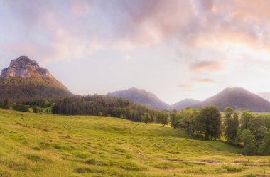 Berchtesgaden Ulusal Parkı, Yukarı Bavyera Alpleri, Almanya, Avrupa 'da gün batımında Hintersee Gölü yakınlarında yol ve bank ile Meadow. Gökyüzü yolu kırpılıyor