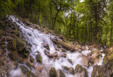 Berchtesgaden Ulusal Parkı 'ndaki Konigssee Gölü yakınlarındaki Rothbach Şelalesi' nin güzel manzarası, Yukarı Bavyera Alpleri, Almanya, Avrupa. Doğa konseptinin güzelliği.