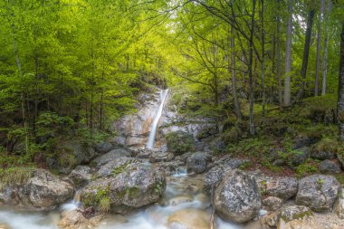 Berchtesgaden Ulusal Parkı 'ndaki Konigssee Gölü yakınlarındaki Şelale manzarası, Yukarı Bavyera Alpleri, Almanya, Avrupa. Doğa konseptinin güzelliği.
