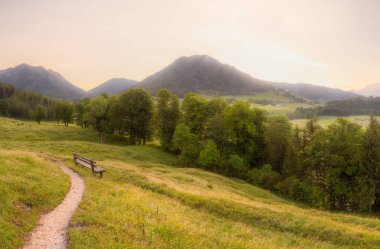 Berchtesgaden Ulusal Parkı, Yukarı Bavyera Alpleri, Almanya, Avrupa 'da gün batımında Hintersee Gölü yakınlarında yol ve bank ile Meadow. Gökyüzü yolu kırpılıyor