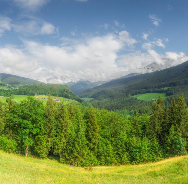 Çayır Jenner yakınındaki güzel manzarasına mount Berchtesgaden Milli Parkı, üst Bavyera Alpleri, Almanya, Avrupa. Gökyüzü kırpma yolu