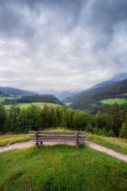 Berchtesgaden Ulusal Parkı, Yukarı Bavyera Alpleri, Almanya, Avrupa 'daki Hintersee Gölü yakınında yol ve bank ile Meadow. Gökyüzü yolu kırpılıyor