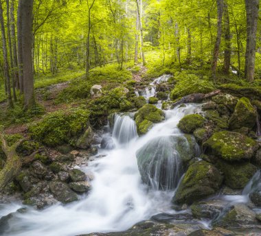 Berchtesgaden Ulusal Parkı 'ndaki Konigssee Gölü yakınlarındaki Rothbach Şelalesi' nin güzel manzarası, Yukarı Bavyera Alpleri, Almanya, Avrupa. Doğa konseptinin güzelliği.