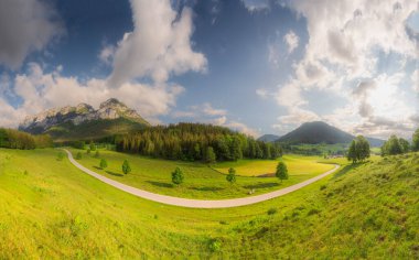 Berchtesgaden Ulusal Parkı, Yukarı Bavyera Alpleri, Almanya, Avrupa 'da gün batımında Hintersee Gölü yakınlarında yol ve bank ile Meadow. Gökyüzü yolu kırpılıyor