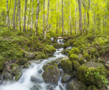 Berchtesgaden Ulusal Parkı 'ndaki Konigssee Gölü yakınlarındaki Rothbach Şelalesi' nin güzel manzarası, Yukarı Bavyera Alpleri, Almanya, Avrupa. Doğa konseptinin güzelliği.