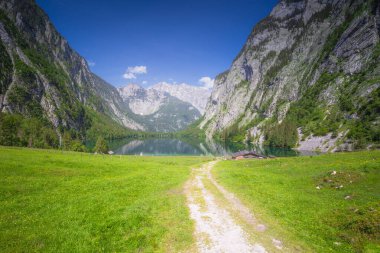 Berchtesgaden Ulusal Parkı, Yukarı Bavyera Alpleri, Almanya ve Avrupa 'daki Obersee Gölü yakınlarındaki dağ vadisinin güzel manzarası. Doğa konseptinin güzelliği.