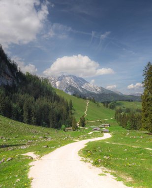 Berchtesgaden Ulusal Parkı, Yukarı Bavyera Alpleri, Almanya ve Avrupa 'daki Jenner Dağı yakınlarındaki dağ vadisinin güzel manzarası. Doğa konseptinin güzelliği.