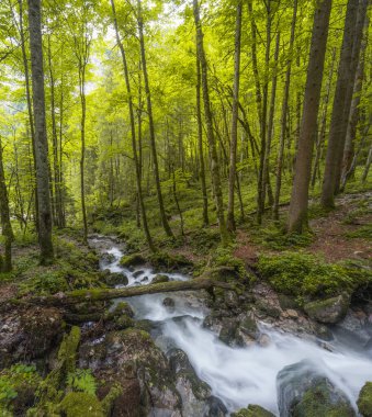 Berchtesgaden Ulusal Parkı 'ndaki Konigssee Gölü yakınlarındaki Rothbach Şelalesi' nin güzel manzarası, Yukarı Bavyera Alpleri, Almanya, Avrupa. Doğa konseptinin güzelliği.