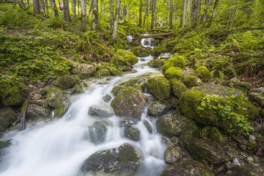 Berchtesgaden Ulusal Parkı 'ndaki Konigssee Gölü yakınlarındaki Rothbach Şelalesi' nin güzel manzarası, Yukarı Bavyera Alpleri, Almanya, Avrupa. Doğa konseptinin güzelliği.