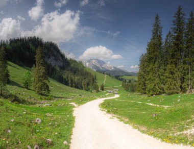 Berchtesgaden Ulusal Parkı, Yukarı Bavyera Alpleri, Almanya ve Avrupa 'daki Jenner Dağı yakınlarındaki dağ vadisinin güzel manzarası. Doğa konseptinin güzelliği.