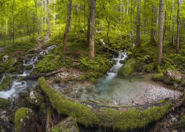 Berchtesgaden Ulusal Parkı 'ndaki Konigssee Gölü yakınlarındaki Rothbach Şelalesi' nin güzel manzarası, Yukarı Bavyera Alpleri, Almanya, Avrupa. Doğa konseptinin güzelliği.