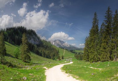 Berchtesgaden Ulusal Parkı, Yukarı Bavyera Alpleri, Almanya ve Avrupa 'daki Jenner Dağı yakınlarındaki dağ vadisinin güzel manzarası. Doğa konseptinin güzelliği.