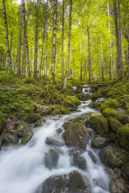 Berchtesgaden Ulusal Parkı 'ndaki Konigssee Gölü yakınlarındaki Rothbach Şelalesi' nin güzel manzarası, Yukarı Bavyera Alpleri, Almanya, Avrupa. Doğa konseptinin güzelliği.