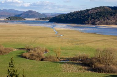 Karstic aralıklı Cerknica Gölü manzarası, Slovenya, Avrupa