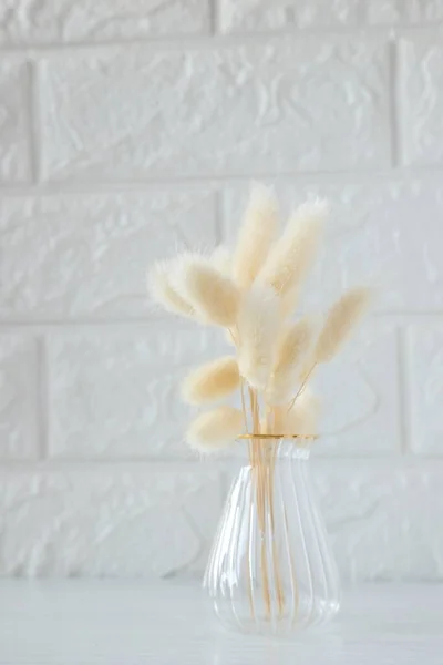 Getrocknete Stabilisierte Blumen Der Vase Inneneinrichtung — Stockfoto